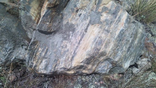 Гигантские зелёные валуны для ландшафтного дизайна весом более 5 тонн купить в Чусовом